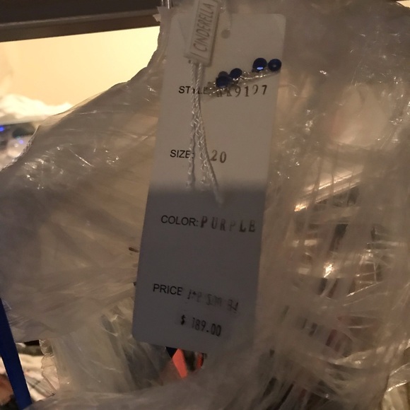 Plus Ball Gown Size 18W Multi Color - Picture 3 of 5